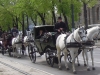 Vienna-Paolo-Gianfelici (2)