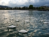 Zurigo-Il Lago-Foto-TidPress (25)
