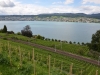 Zurigo-Il Lago-Foto-TidPress (34)