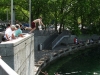 Zurigo-Il Lago-Foto-TidPress (6)