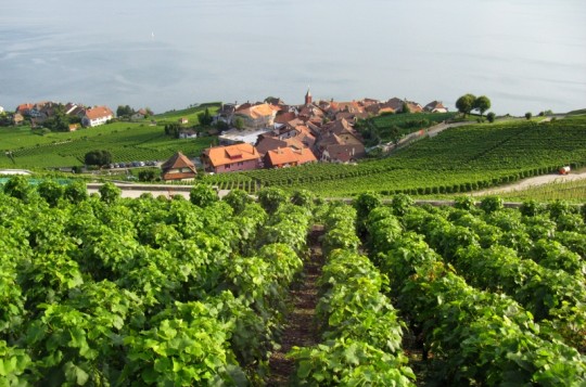 Autunno in Svizzera: castelli e  vigneti del Vaud