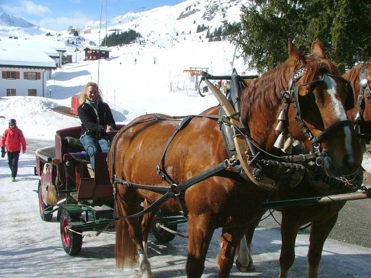 Il sentiero degli scoiattoli sulle montagne dei Grigioni