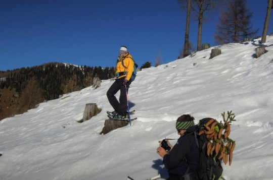 Carinzia: storia di un formaggio e della neve ghiacciata