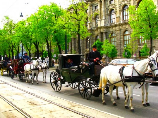Vienna: parchi e giardini, biciclette e cavalli
