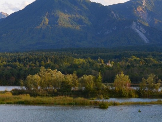 Natura senza confini: i due versanti delle Alpi Caravanche