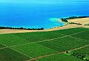 Croazia: l’Istria tra le dieci migliori destinazioni enoturistiche del 2015