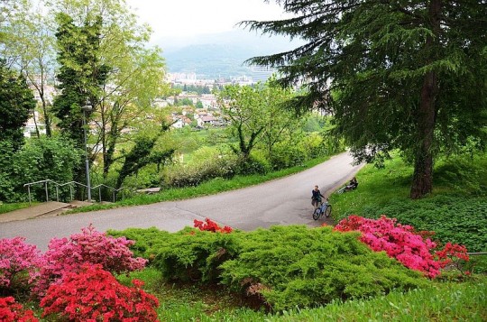 Il Festival delle Rose di Nova Gorica