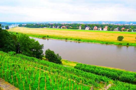 Expo 2015, Germania: “attivi nel giardino delle idee”