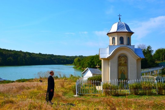 Romania: l’uccello sulla quercia del monastero