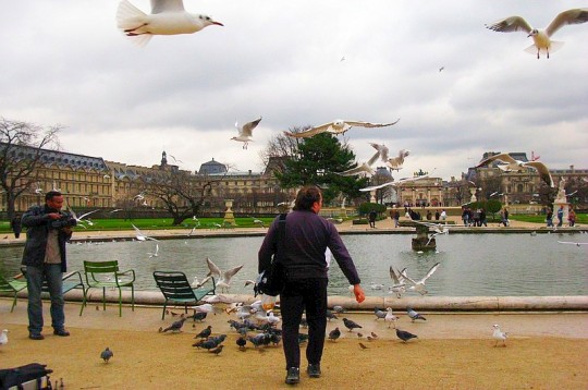 Paris en hiver