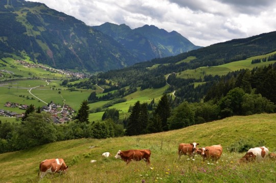 Dalle terme di Badhofgastein agli Alti Tauri