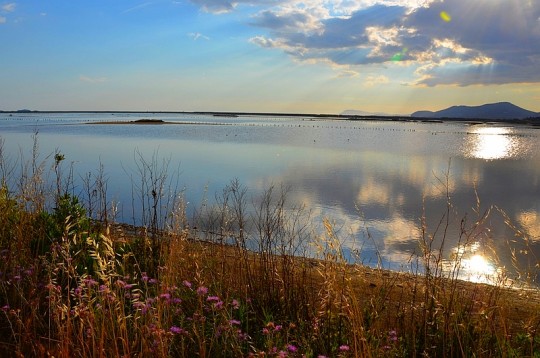 Hyères: dal quartiere medievale alle antiche saline