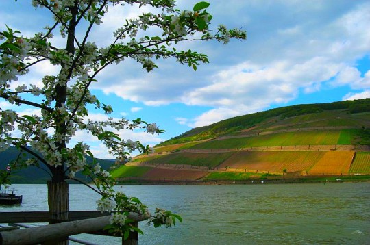 La primavera e l’estate in Germania