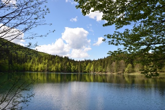 I Laghi di Fusine: due smeraldi incastonati sulle Alpi Giulie