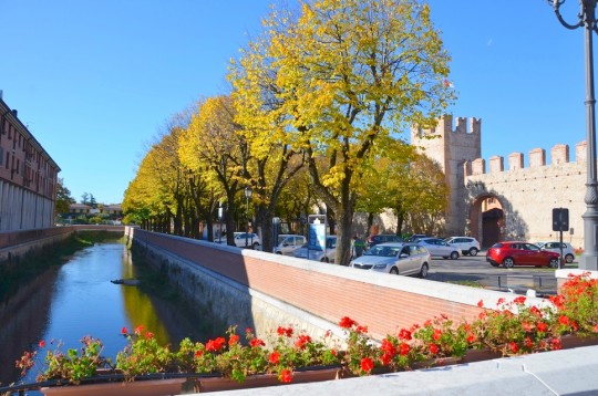 Vini e foliage nel Soave