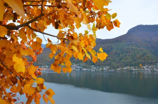 La magia del foliage d’autunno sulle rive del Lago di Lugano
