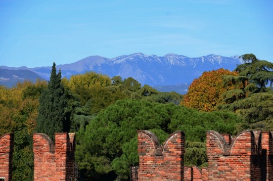 Verona: Castelvecchio