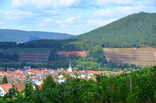 Churfranken: esperienze sulla “Strada del vino rosso della Franconia”