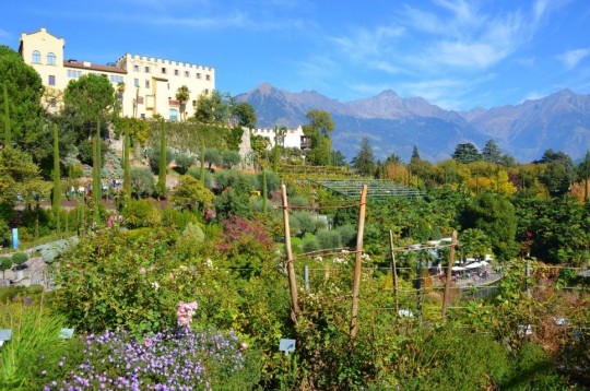 Merano, i meravigliosi Giardini di Trauttmansdorff