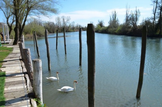 Marano Lagunare, storico borgo marinaro