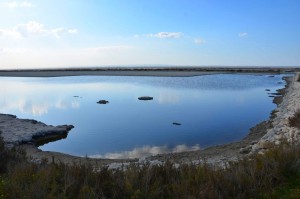 Trinitapoli, il Parco Naturale della Zona Umida