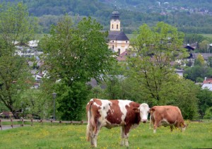 Kufsteinerland