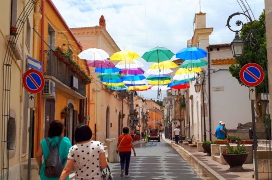 In viaggio nella Daunia, Candela in fiore