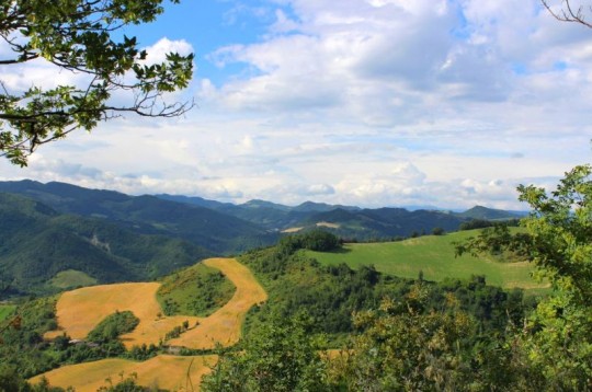 L’altra Romagna della Valle del Bidente