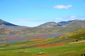 Castelluccio-Paolo-Gianfelci (4)