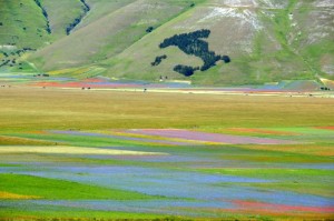 Castelluccio-Paolo-Gianfelci (6)