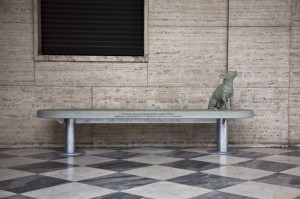 Alberto Garutti, Il cane qui ritratto, Part -Collezione Fondazione San Patrignano