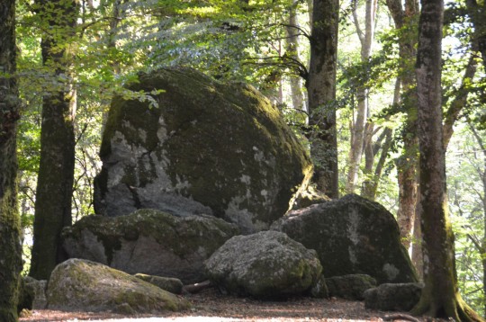 La Faggeta del Monte Cimino