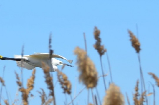 Sardegna: un parco al sapore di sale