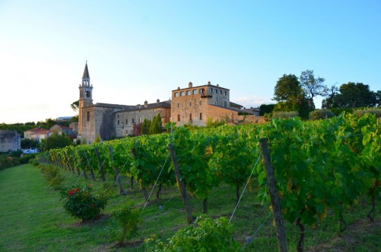 Il Castello di Masciarelli tra giardini e vigneti