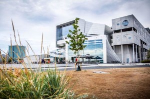 Musikkens Hus  Foto visitaalsborg