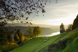 Ossiacher See - © Kärnten Werbung, Franz Gerdl