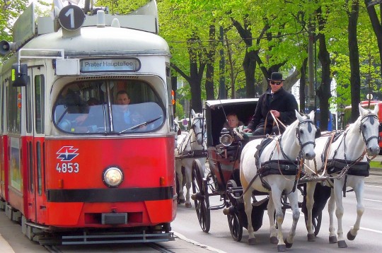 Ricordare per ritornare, le due vite di Vienna