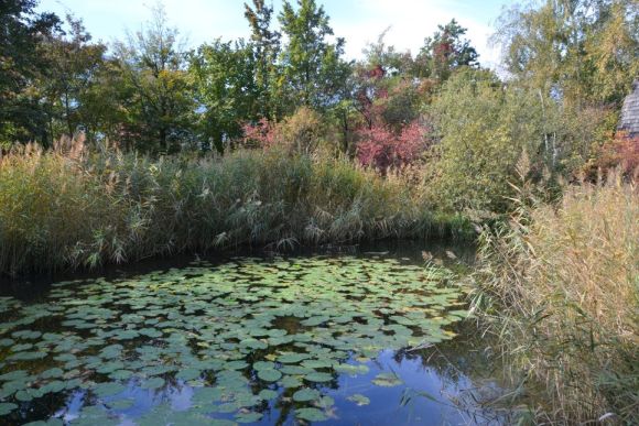 Foto Paolo Gianfelici,I  Giardini di Castel Trauttmansdorff