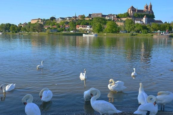 Sul Reno a Breisach si respirano la storia e la natura