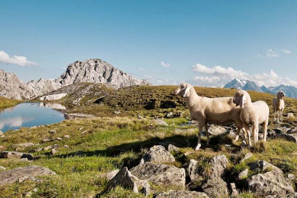 Nello Stubai la natura è uno spettacolo