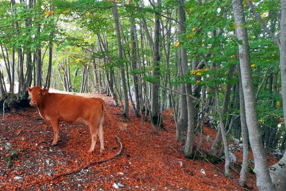 L’autunno sui Monti Simbruini