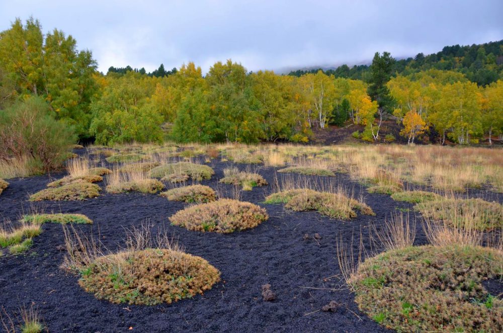 Etna, i colori autunnali a quota 2000