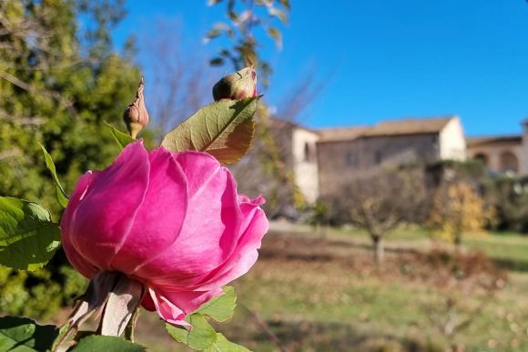 Umbria: Il relais “La Tenuta del Gallo”