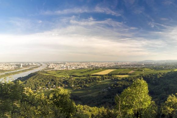 Il Bosco Viennese : la meraviglia verde di Vienna