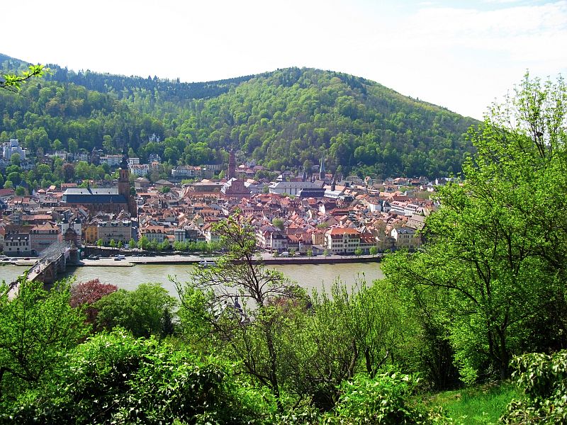 Il fiume Neckar e Heidelberg
