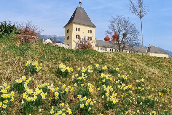 L’emozione della Pasqua in Carinzia – il lago di Millstatt
