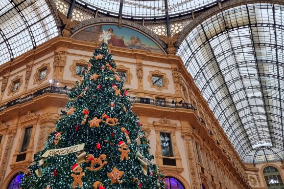 Milano, “Natale degli alberi”