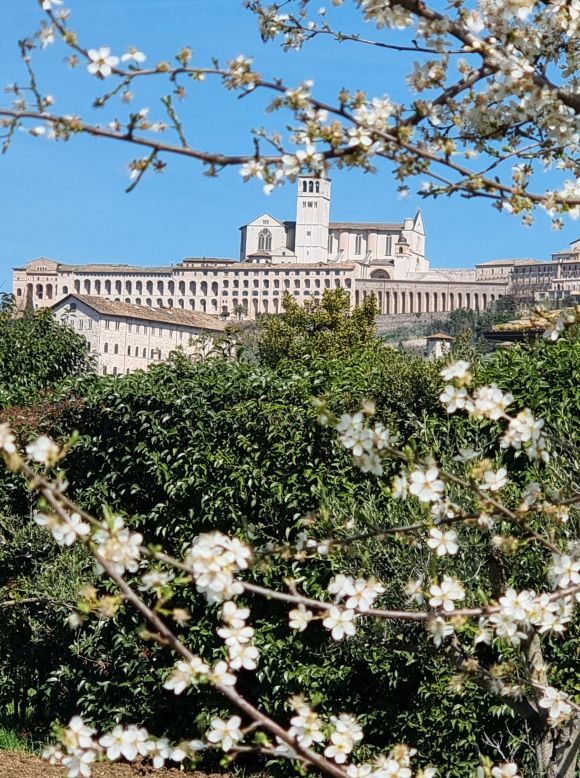 Assisi, Tenuta San Masseo, foto Lisa Mittelberger