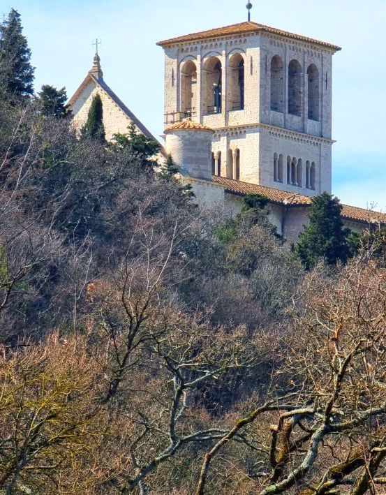 Assisi, il Bosco di San Francesco, foto Lisa MIttelberger