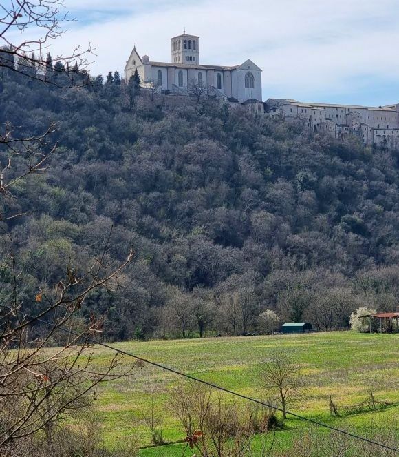 Assisi, il Bosco di San Francesco, foto Lisa MIttelberger